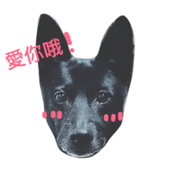 [LINEスタンプ] Money's O.S