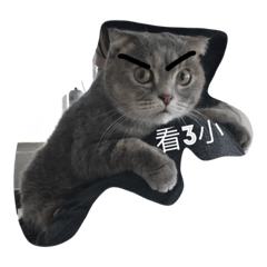 [LINEスタンプ] lazy haru