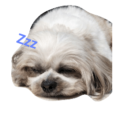 [LINEスタンプ] the cutest doggy