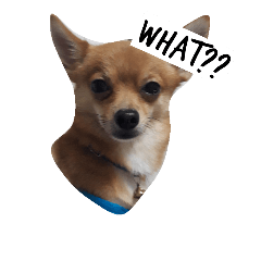 [LINEスタンプ] Haneul Swag