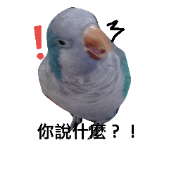 [LINEスタンプ] Daily life of parrot