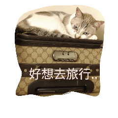 [LINEスタンプ] Cats' words.