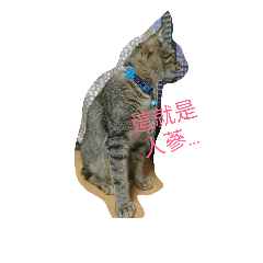 [LINEスタンプ] Huban Meow's Song