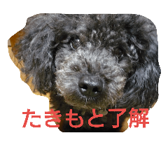 [LINEスタンプ] たきもと