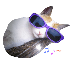 [LINEスタンプ] Cats ＆ Rabbits paradise