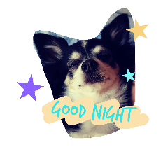 [LINEスタンプ] newkun