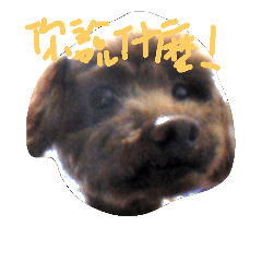 [LINEスタンプ] cute dog pizza