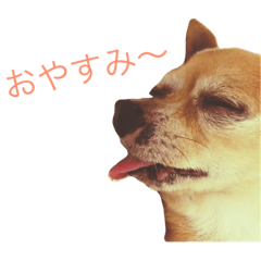 [LINEスタンプ] もりぞうスタンプ