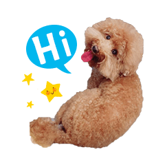 [LINEスタンプ] Didi - Poodle
