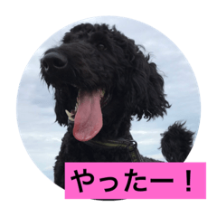 [LINEスタンプ] ワンダフルタイム