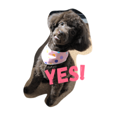 [LINEスタンプ] 御馳と山葵