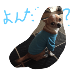 [LINEスタンプ] サボ