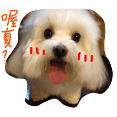 [LINEスタンプ] Mickey Lee