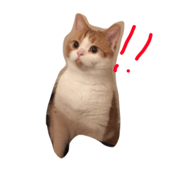 [LINEスタンプ] つなのスタンプ