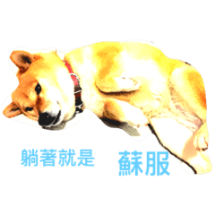 [LINEスタンプ] love lovely happy dog