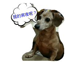 [LINEスタンプ] Cute Jeff