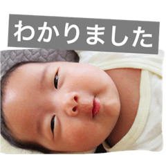 [LINEスタンプ] ★すずこちゃん