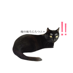 [LINEスタンプ] ハムニャん