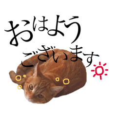 [LINEスタンプ] 猫のなすとツナのスタンプ