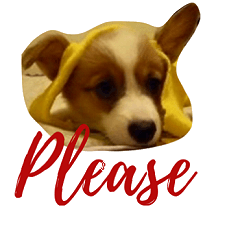 [LINEスタンプ] Corgi BJ's Feelings