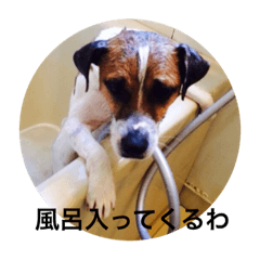 [LINEスタンプ] ジャックはうちの犬