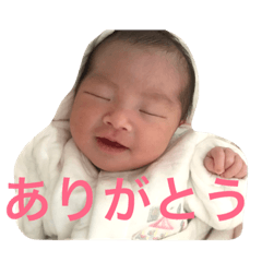 [LINEスタンプ] にかちゃんです