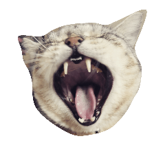 [LINEスタンプ] kuby