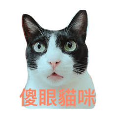 [LINEスタンプ] 林家のネコたち