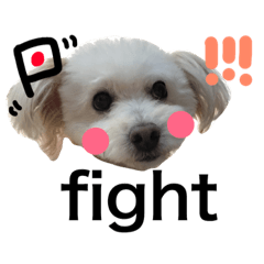 [LINEスタンプ] oyamafamily_kuu