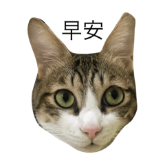 [LINEスタンプ] Zaizai's happy life.