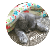 [LINEスタンプ] らんあずきもなかここ