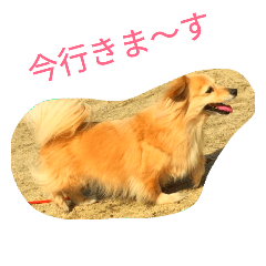 [LINEスタンプ] ティナプラム