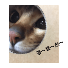 [LINEスタンプ] Ms'Mimi