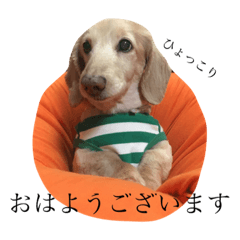 [LINEスタンプ] 愛犬ルイの日常会話2