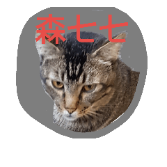 [LINEスタンプ] dog＆cat＆face