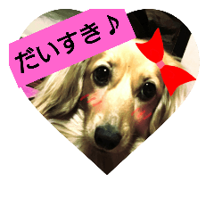 [LINEスタンプ] 綺羅の気持ち❤2