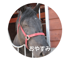 [LINEスタンプ] ganba horse