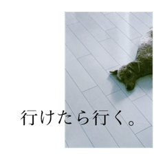 [LINEスタンプ] トイプードルのふうたちゃん 