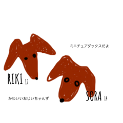 [LINEスタンプ] おじいちゃんずの毎日