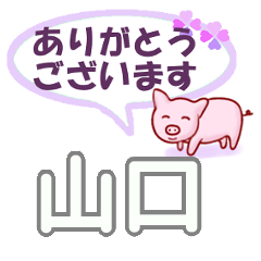 [LINEスタンプ] 山口「やまぐち」さん専用。日常会話