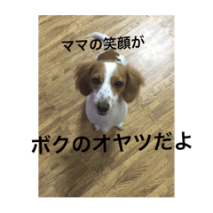 [LINEスタンプ] ママの笑顔がボクのオヤツ