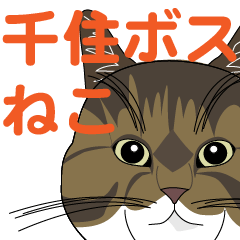 [LINEスタンプ] 千住ボスねこ