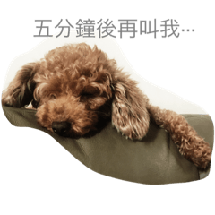 [LINEスタンプ] very cute dog my fmaily