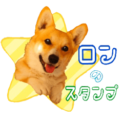 [LINEスタンプ] コーギー犬のロンくん✨