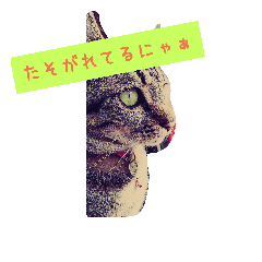 [LINEスタンプ] utino_tamaの画像（メイン）