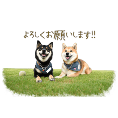 [LINEスタンプ] 柴犬ひめこあずきのHappyスタンプ2