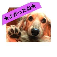 [LINEスタンプ] 綺羅の気持ち3