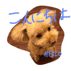 [LINEスタンプ] だいちゃんの日常。