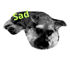 [LINEスタンプ] We love Schnauzers