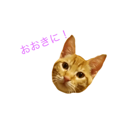 [LINEスタンプ] 関西弁にゃんことモナ。第2弾